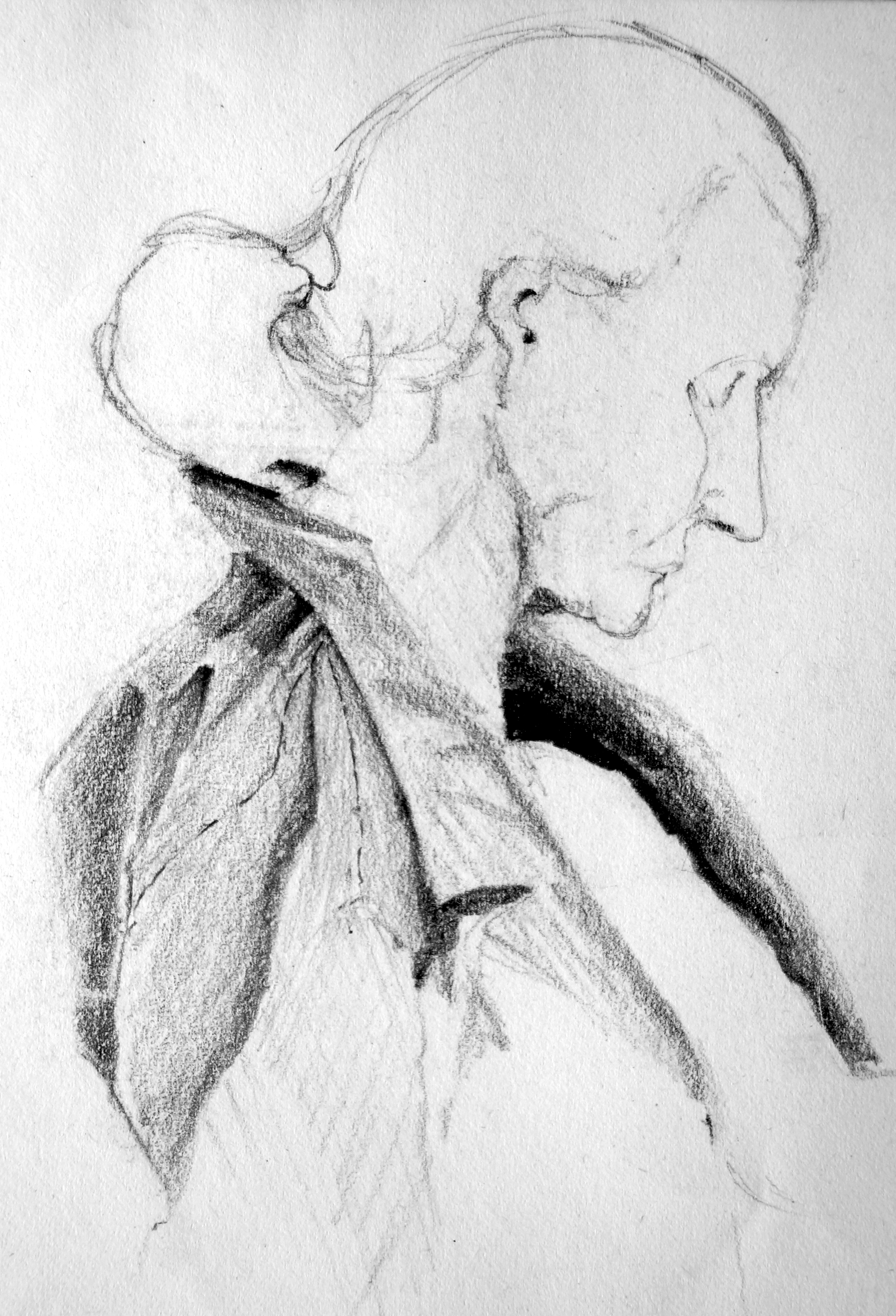 Mrs B, monochrome artwork